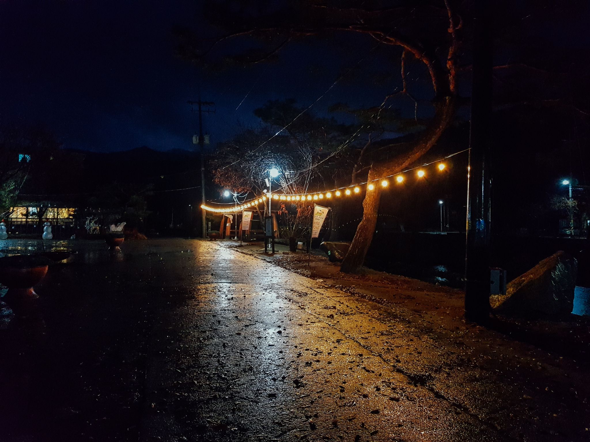 은은한 빛축제 03